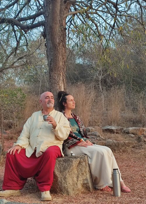 Transmissions d&rsquo;Astrologie initiatique et spirituelle (accès progressif)